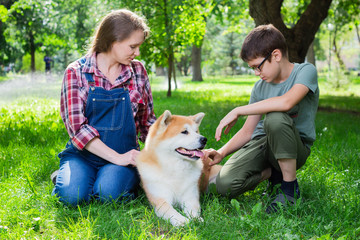 Beautiful pregnant woman in blue denim overalls with her son and Japanese dog Akita inu in the park