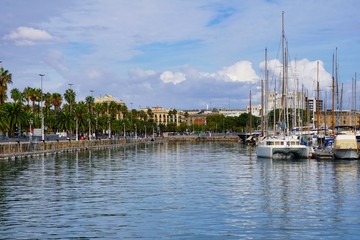 Fototapeta na wymiar sailboats in the marina
