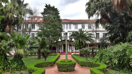Vicentina Aranha