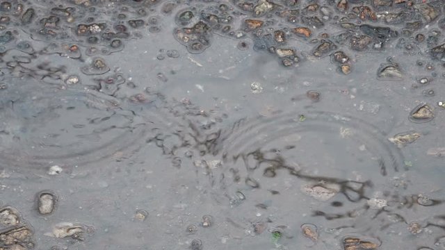 Closeup of light rain on asphalt puddle surface