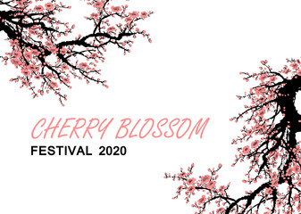 Cherry blossom branch with pink cherry flowers blooming. Sakura blossoming festival banner. Chinese or Japanese plum tree. Vector
