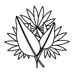 exotic and tropical leafs plant decoration