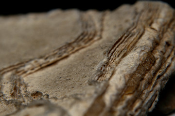 Macro shot old vintage book papers edge shape and texture