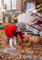 Little girl with autumn yellow flowers and  vegetables and fruit in baskets in the garden