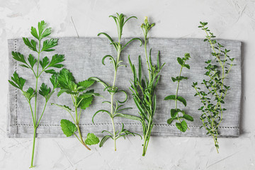 Herbs and spices. Fresh herbs selection included rosemary, thyme, mint, lemon balm, parsley and arugula