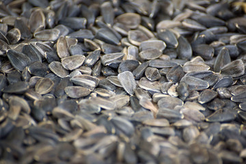 Dry sunflower seeds, on a macro for background