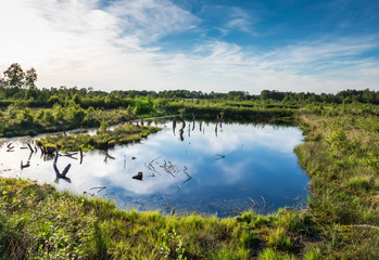 Diepholz Bog in Low Saxony, Germany