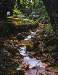 Small red creek in the forest near Devil's town in southern Serbia