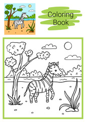 Zebra. Coloring book.