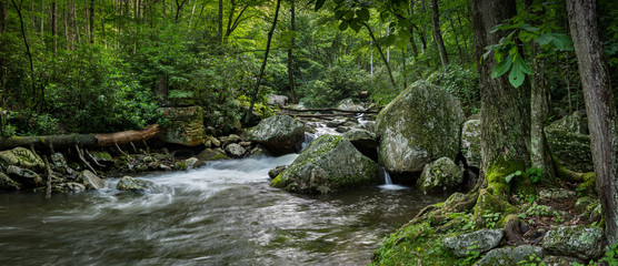 Little Stony Creek as it cascades through the Appalacian Highlands in early July. © Gerry