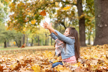 Mädchen im Herbst wirft bunte Ahornblätter in die Luft Natur 