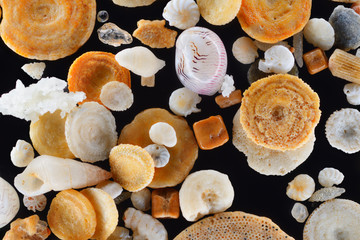 Extreme close-up of coral sand grains