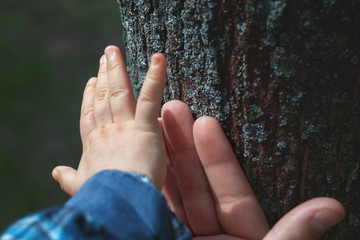 Child's hand and tree trunk.