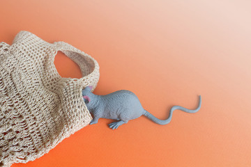 Mouse or rat and empty eco bag on a colored background, copy space. The concept of buying, shopping, pet supplies, pet products, ecology, no plastic.