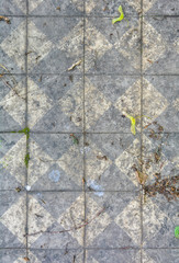 Vintage cracked brickwork floor with natural trash, dirt and some grass