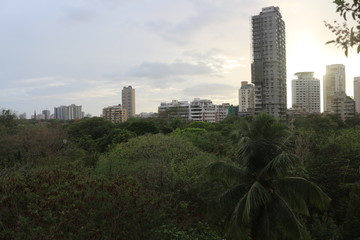 city view over the trees