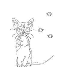 Vector illustration, cat and fishes