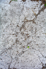 Old concrete ground floor panel, large cracks. Texture of damaged cement block