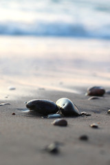 wet pebbles on the beach and water