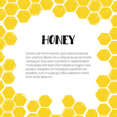Honey frame with honeycomb.