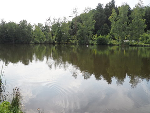 Fasshotel an den Schwarzrinderseen