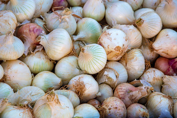Zwiebel - Zwiebeln - Markt - Gemüse