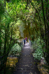 Fototapeta premium A visit to Mangapohue Natural Bridge