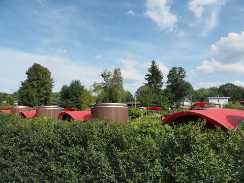 Fasshotel an den Schwarzrinderseen