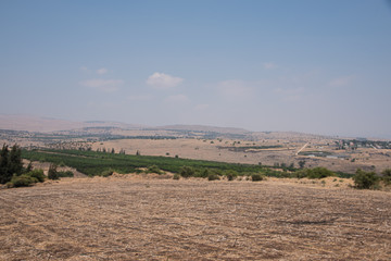 Fototapeta premium View of the Galilee mountains, summer. Israel .