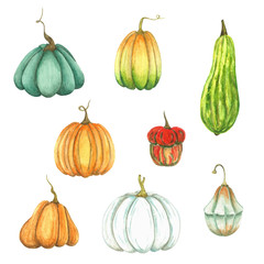 Watercolor set of 8 multi-colored pumpkins isolated on a white background