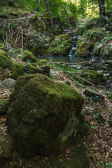 Small pond, waterfall and mossy rocks in the beautiful forest