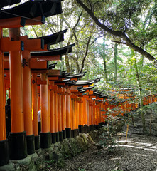 Torii Gates at Fushimi Inari Taisha Shrine in Kyoto, Japan