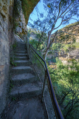 Obraz premium ladder in giant stairway track, blue mountains, australia 6