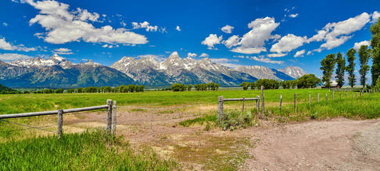 Fence and field with the Grand Teton mountians in the background.