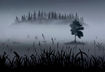 Realistic panorama of the valley covered with a grey mist.