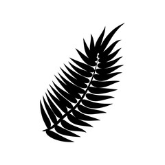 Dypsis for decorative design. Isolated sign symbol. Isolated vector illustration. Summer tropical leaf of dypsis. Natural plant symbol. Vector background. Exotic forest tree icon.