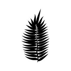 Dypsis for decorative design. Isolated sign symbol. Isolated vector illustration. Summer tropical leaf of dypsis. Natural plant symbol. Vector background. Exotic forest tree icon.