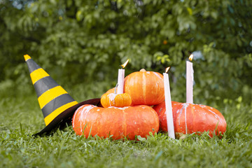 holiday candles burning on orange halloween pumpkins and black and yellow witch hat in the park on a background of trees