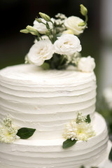 Fototapeta na wymiar wedding cake.