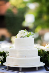 Obraz na płótnie Canvas wedding cake.