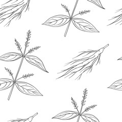 Fototapeta na wymiar Seamless pattern of Achyranthes bidentata.