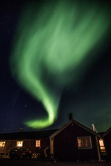 Northern lights above Reine in Lofoten islands in Norway