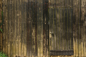 Background of vertical old brown weathered wooden slats and a closed wooden door in it