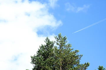 Obraz premium silver plane on a background of blue sky, white clouds and forest