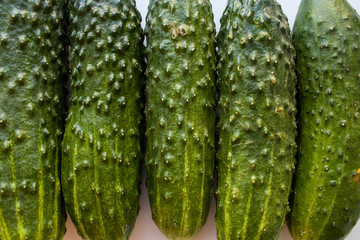 vegetarian green cucumbers on a white background