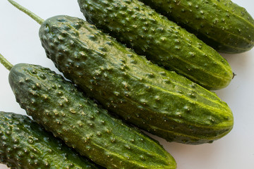 vegetarian green cucumbers on a white background