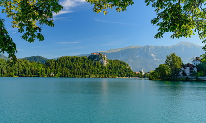 Landscape with Bled Castle from under hanging tree branches.