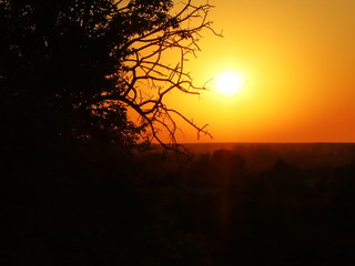 hot sunset in southern country textura background