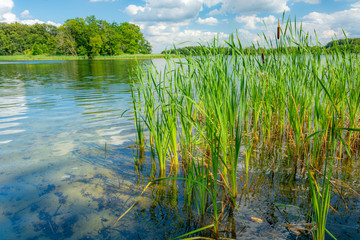 Obraz premium Krakower See, Krakow am See, Mecklenburgische Seenplatte