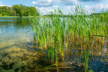 Krakower See, Krakow am See, Mecklenburgische Seenplatte